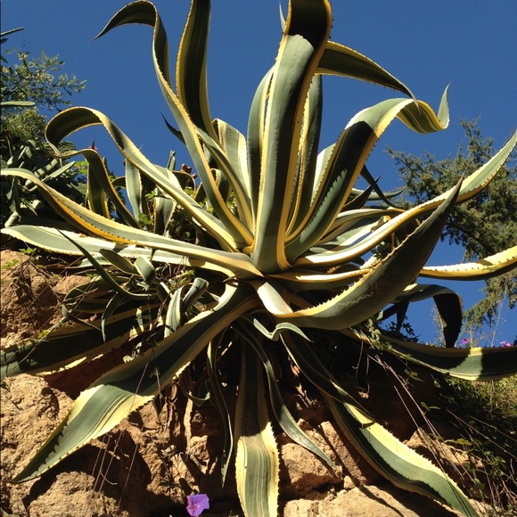 Meet your Posher, Debra - Picture 7 of 8